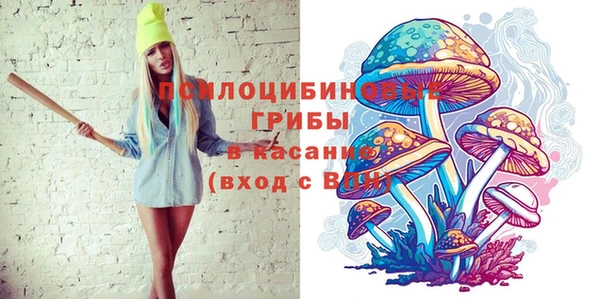 тгк Богородицк