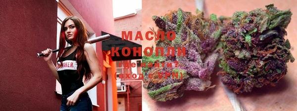 гашик Бородино