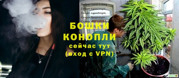 тгк Богородицк