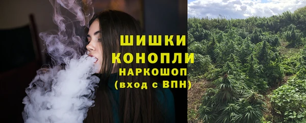 гашик Бородино