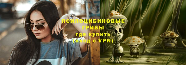 гашик Бородино