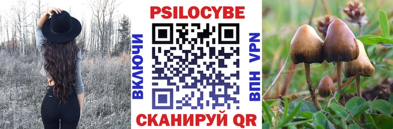 сколько стоит  Мещовск  Галлюциногенные грибы мицелий 